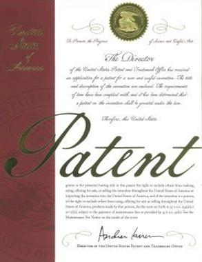 미국 특허등록증 US 10 306 873 B2