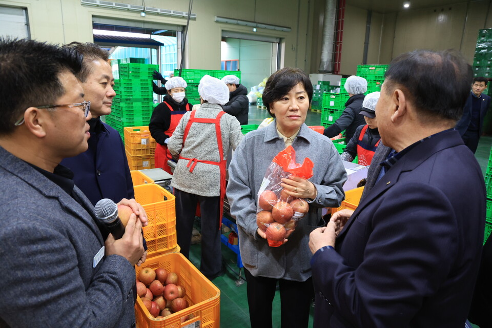 영주 거점APC에서 사과 선별 과정에 대해 설명을 듣고있는 송미령 농식품부 장관