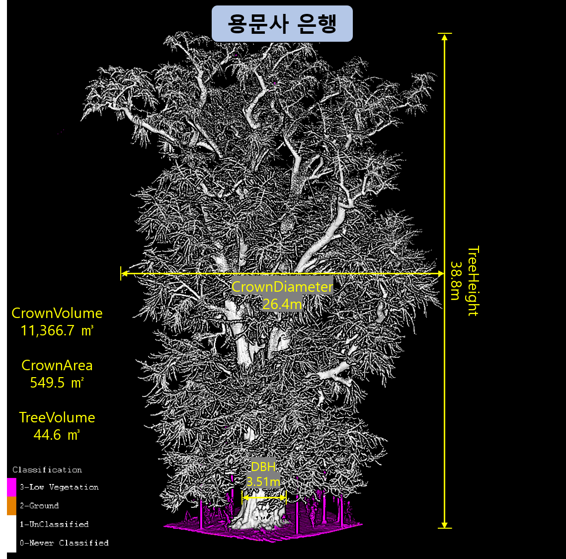 라이다 기술로 용문사 은행나무의 정확한 생장 정보(국립산림과학원 제공)